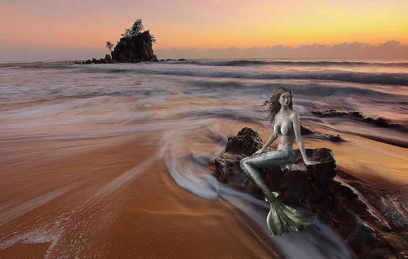 Mermaid Paradise
